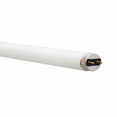 Linear Fluorescent Lamps image